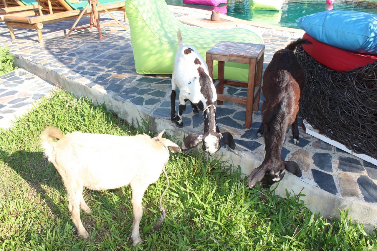 Kalaka Homestay San Sai Ngoại thất bức ảnh